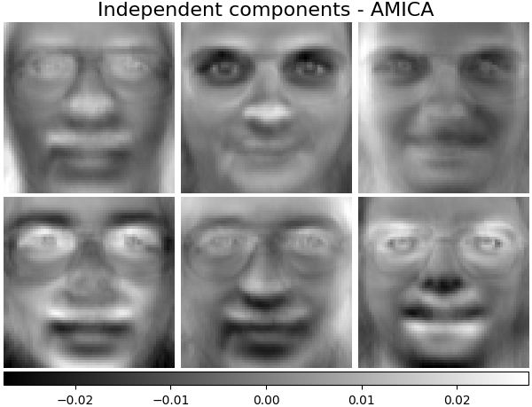 Independent components - AMICA