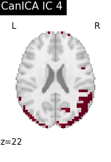plot fmri