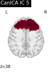 plot fmri